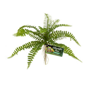 ZooMed Sword Fern műnövény 20x25cm