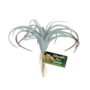 ZooMed Tillandsia Air Plant műnövény 25cm