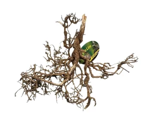 LR DDB-NS Desert Bush "natural" mix